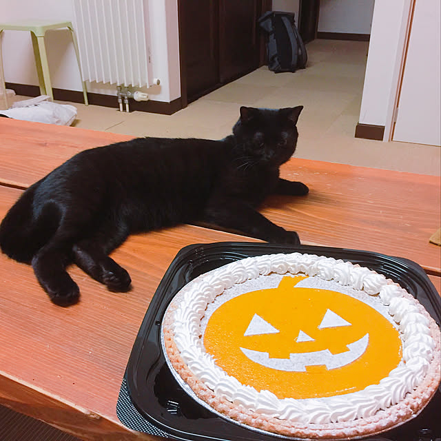 nanaさんの実例写真