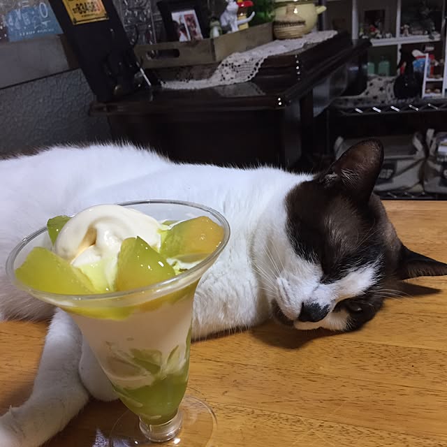 vivienne.coco-keiさんの実例写真
