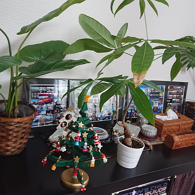 実例写真