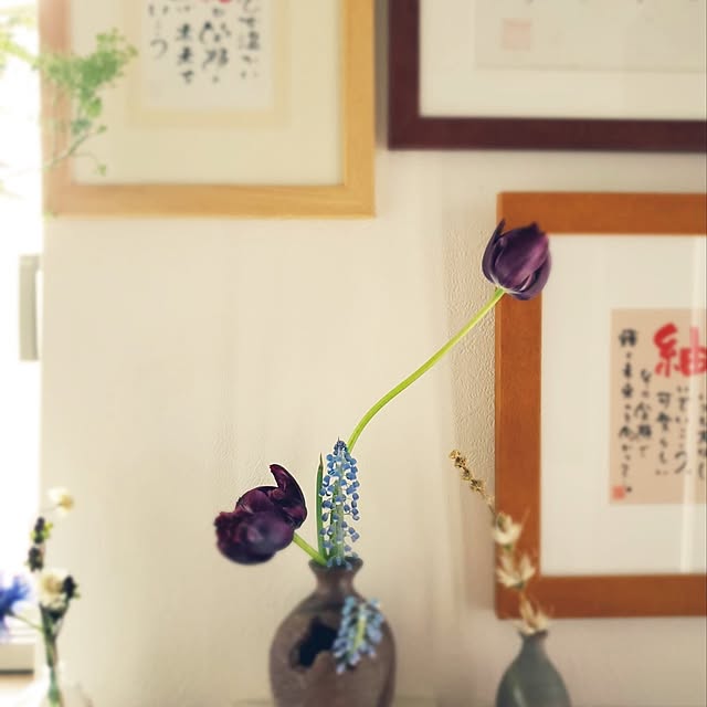 limitezさんの部屋