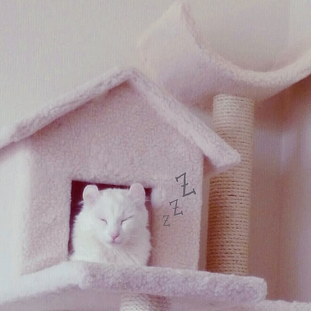 hug_melさんの実例写真