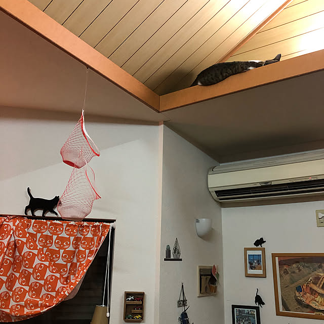 jijiさんの実例写真
