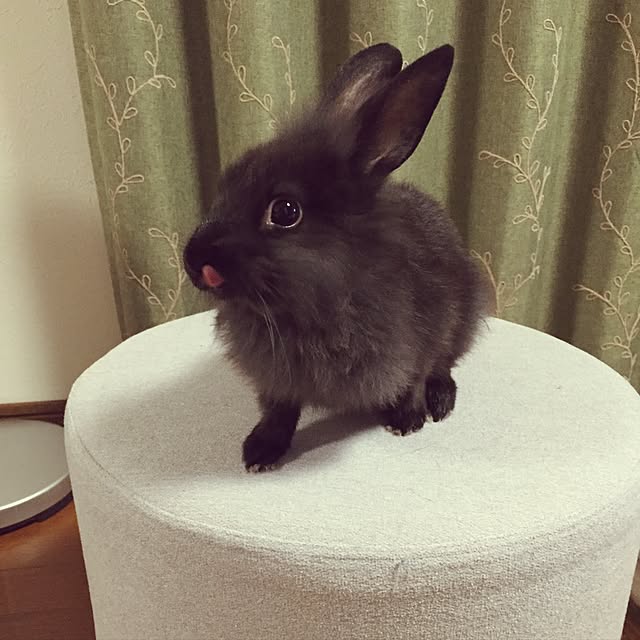 miiko3さんの実例写真