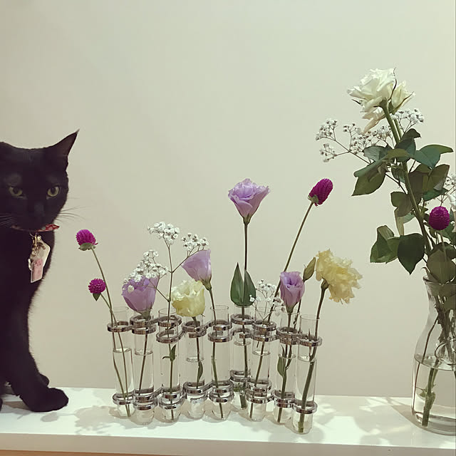 jucakikkaさんの実例写真