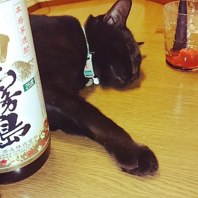 udonさんの実例写真