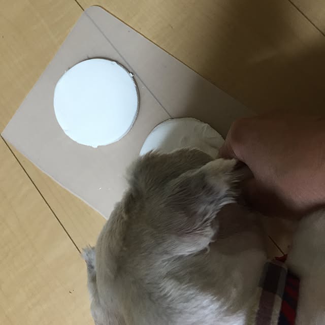 emiさんの実例写真