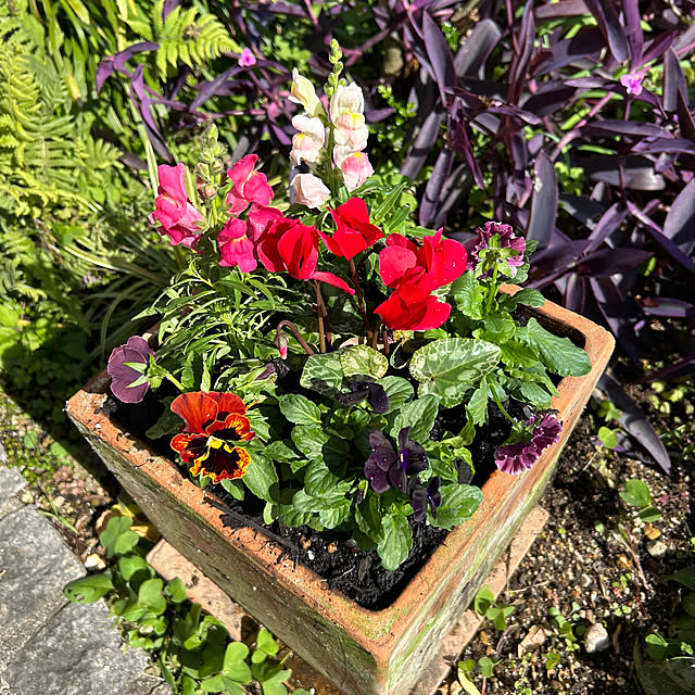 ritsukoさんの実例写真