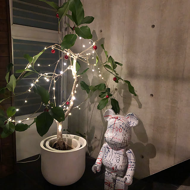 contrexmindさんの実例写真