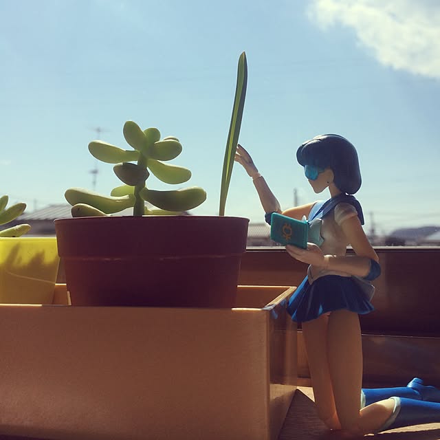 hanaさんの実例写真