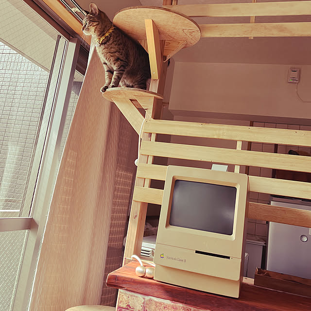 Mさんの実例写真