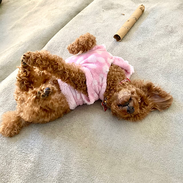 MOMOMAMAさんの実例写真