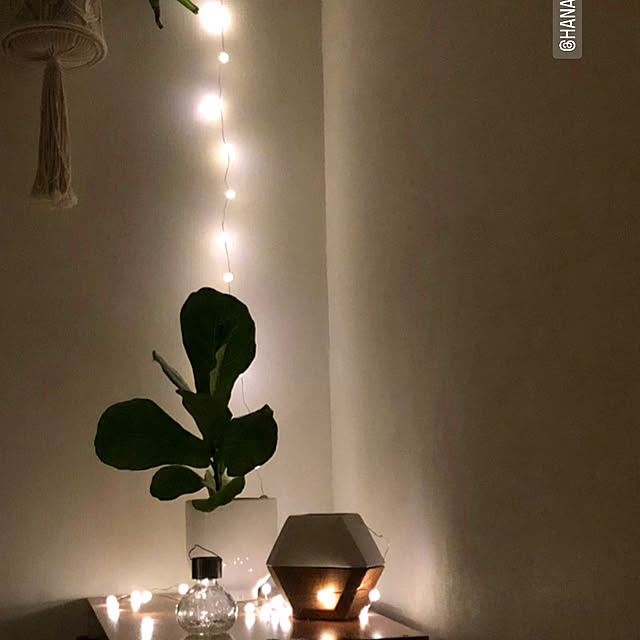 BigWinksさんの部屋