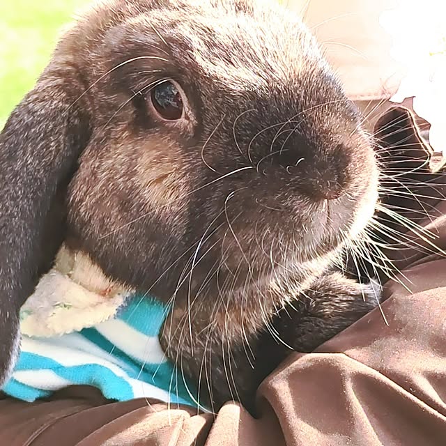 mariaさんの実例写真