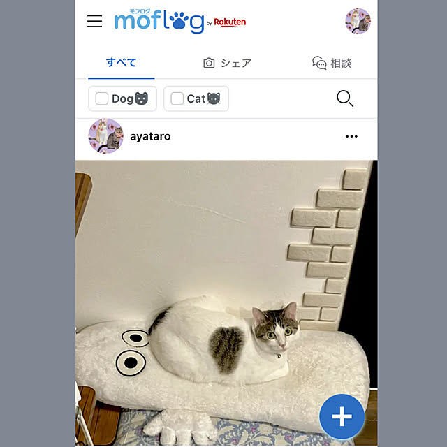 ayataroさんの部屋
