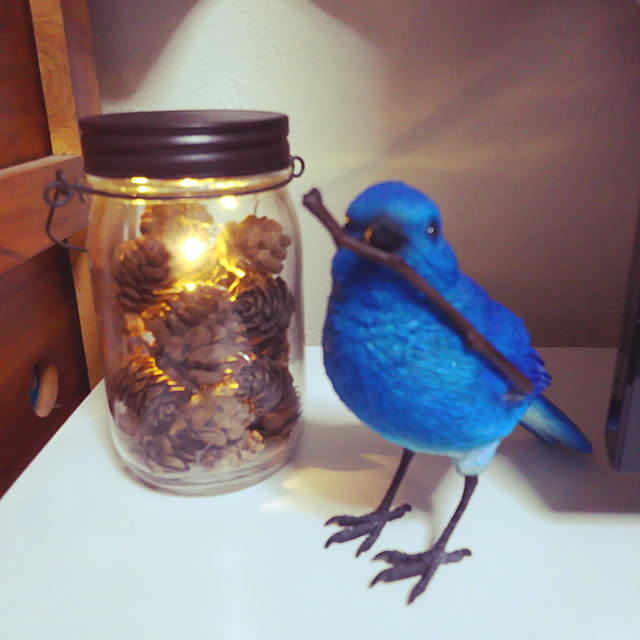 cocoさんの実例写真