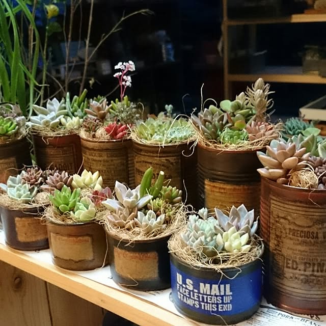 cocomilkさんの実例写真