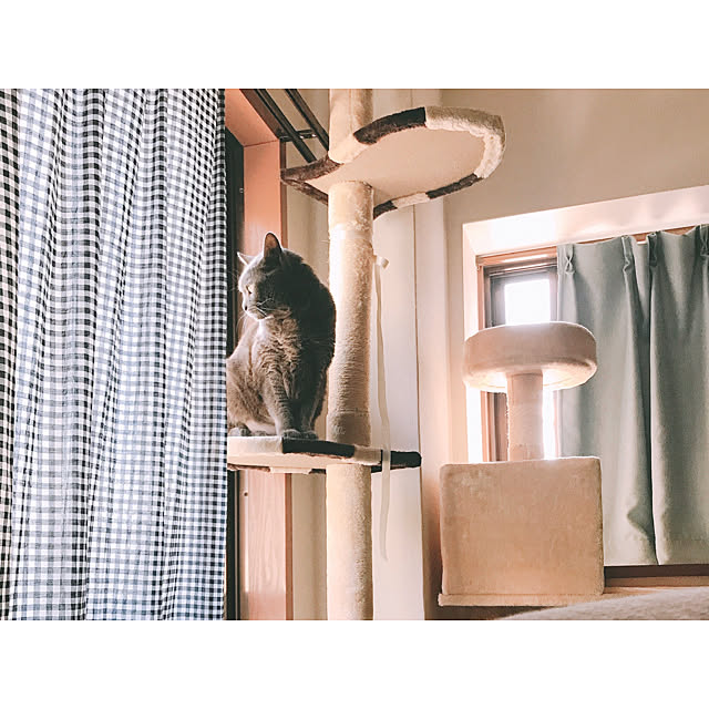 hiさんの実例写真