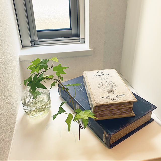 本型小物入れ/玄関/植物のある暮らし/中古住宅/ニトリ...などのインテリア実例 - 2020-10-13 08:45:21