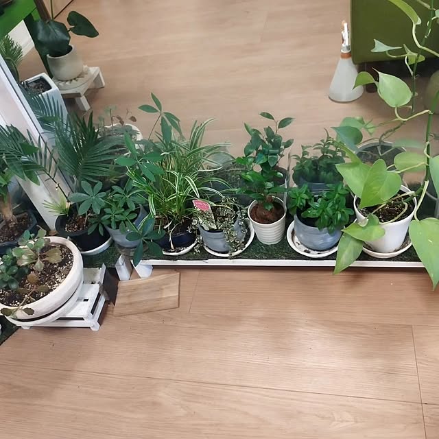 実例写真