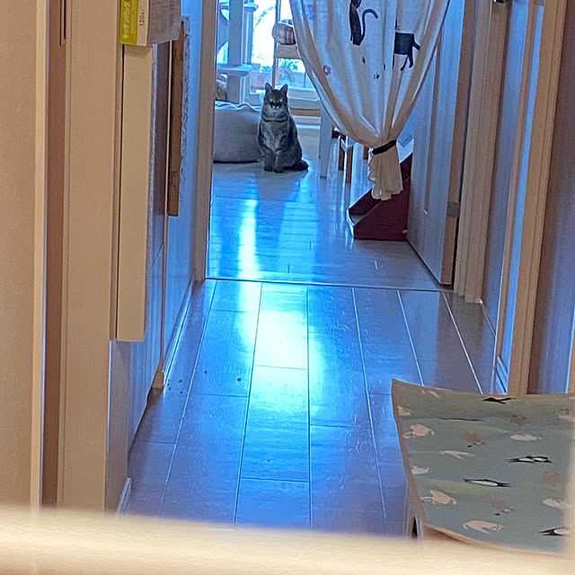 naturalさんの実例写真
