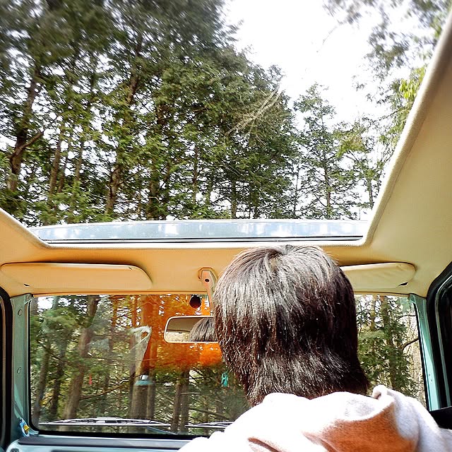 実例写真