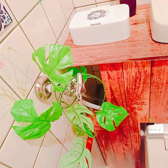 hanaさんの実例写真