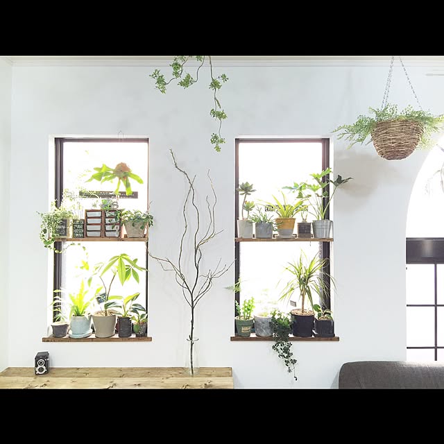 kiki_nekkoさんの実例写真