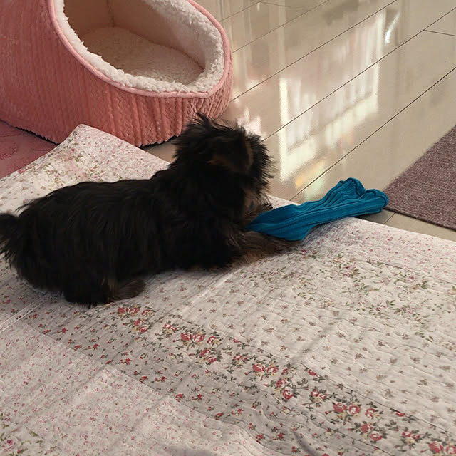 msさんの部屋