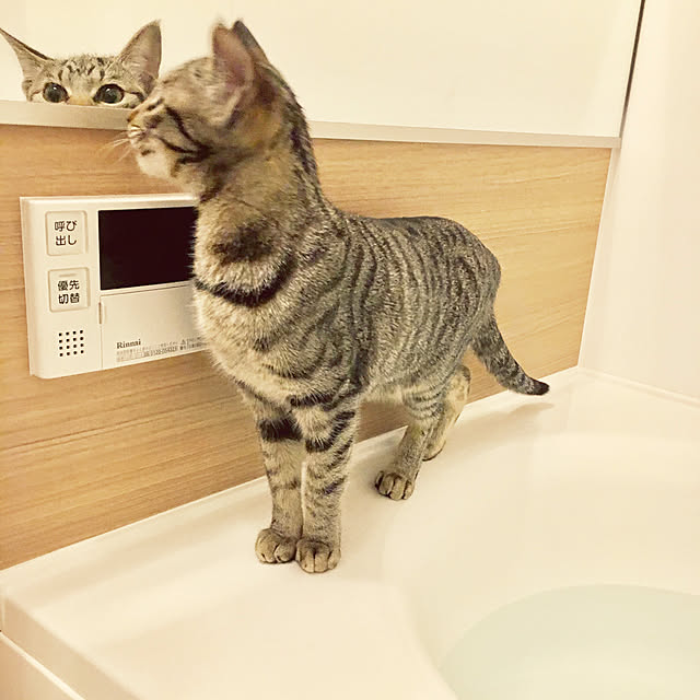 y.roomさんの実例写真