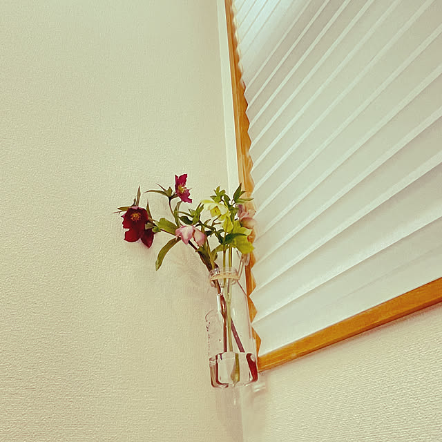nahonさんの部屋