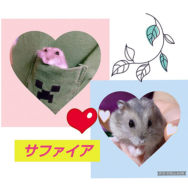 Miyumamaさんの実例写真