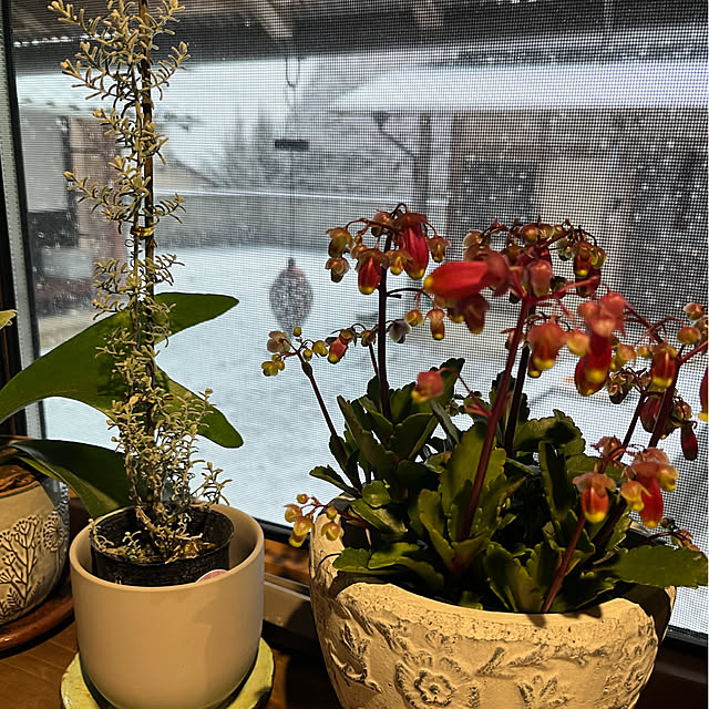 cotaさんの部屋