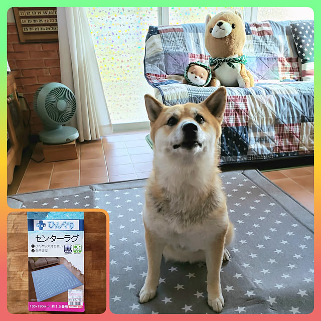 nanaさんの実例写真