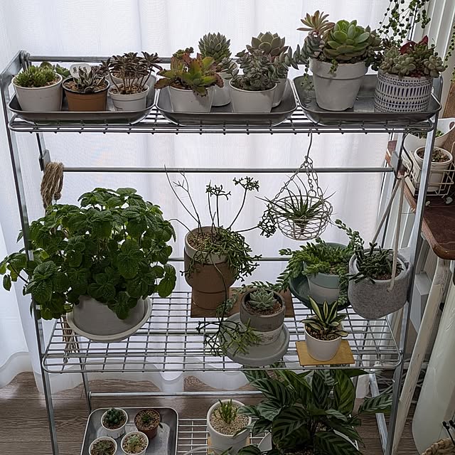 hizikiさんの実例写真