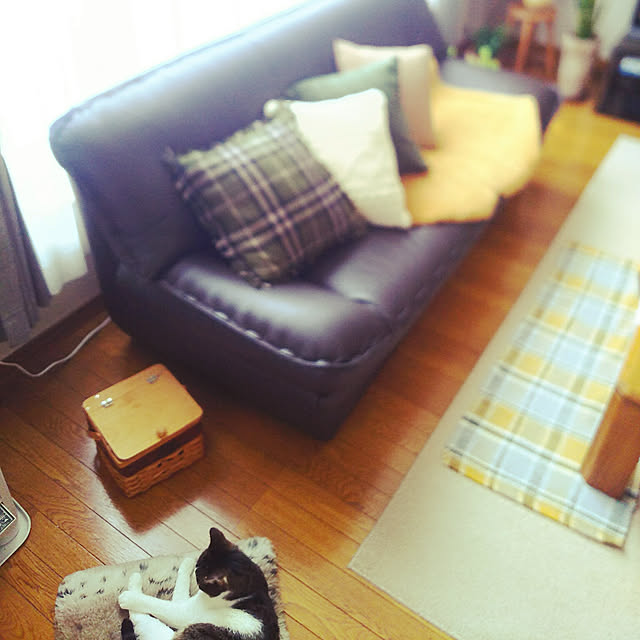 rinさんの実例写真