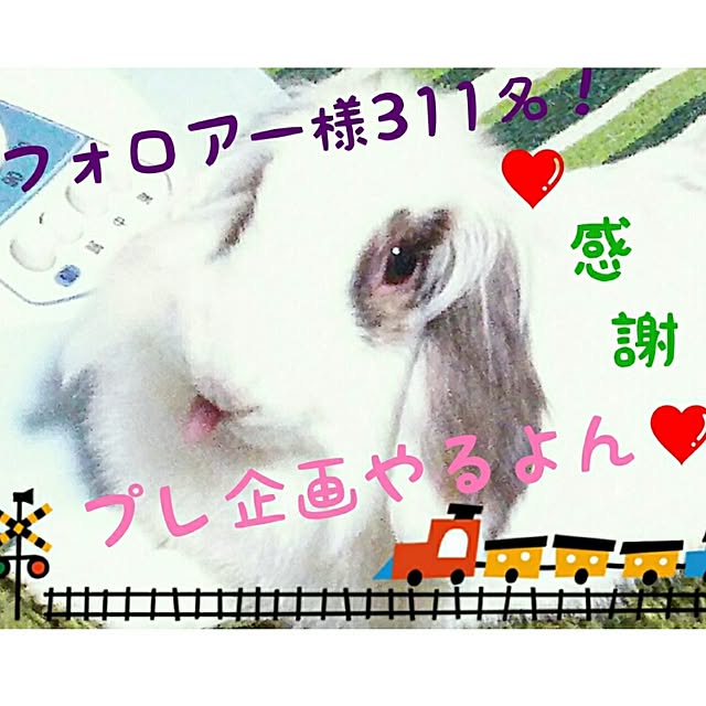 WASABIさんの実例写真