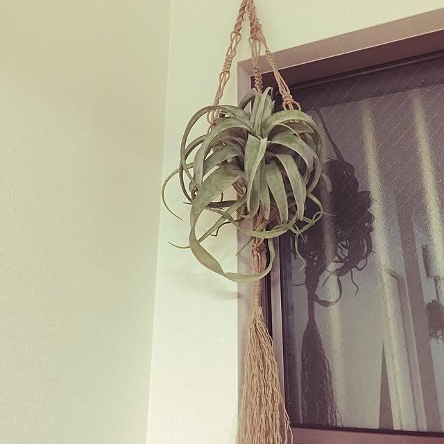 mymr113さんの実例写真
