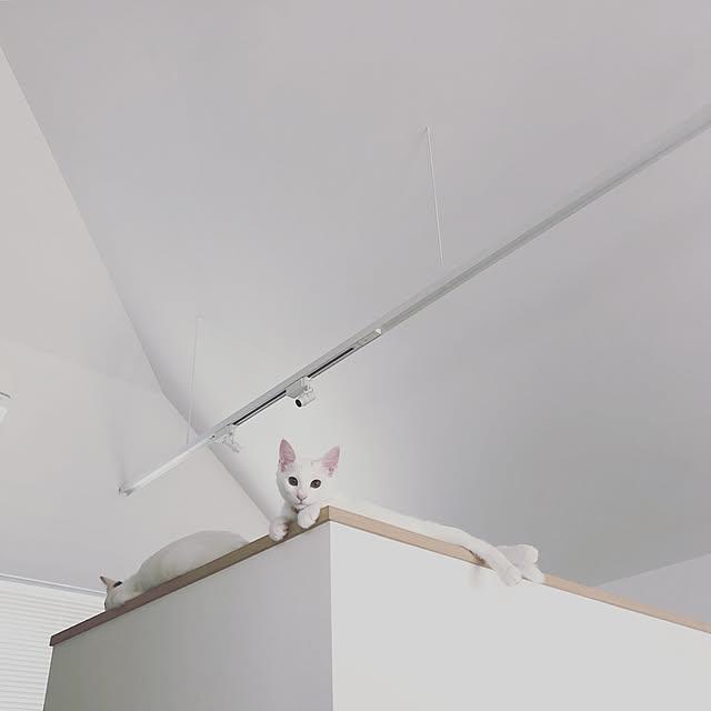 td.hsさんの実例写真
