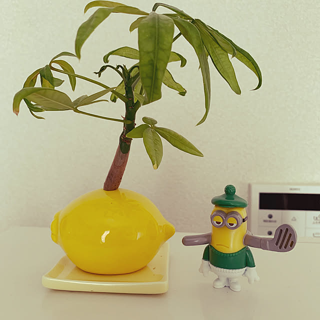 minionzu202さんの実例写真