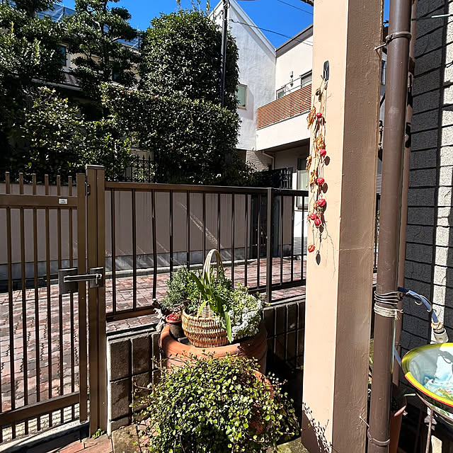 botanさんの実例写真