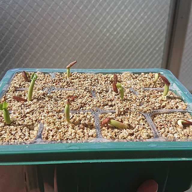 sgr03さんの部屋