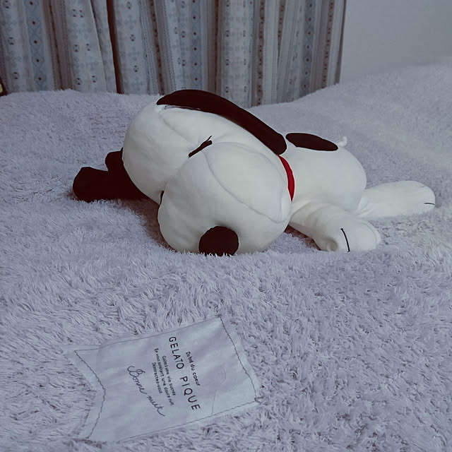 shibaさんの実例写真
