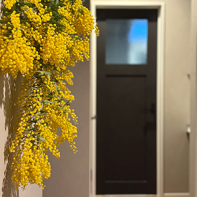 sakiさんの実例写真