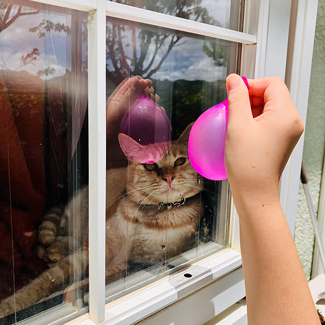 tomorinさんの実例写真