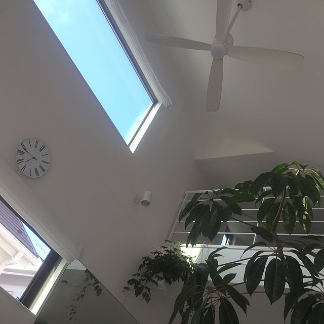 Tinoさんの実例写真