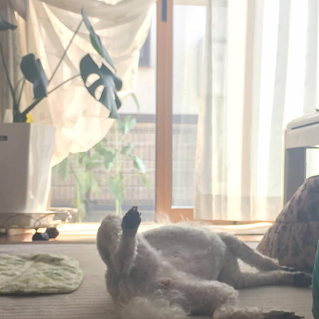 Junran50さんの実例写真