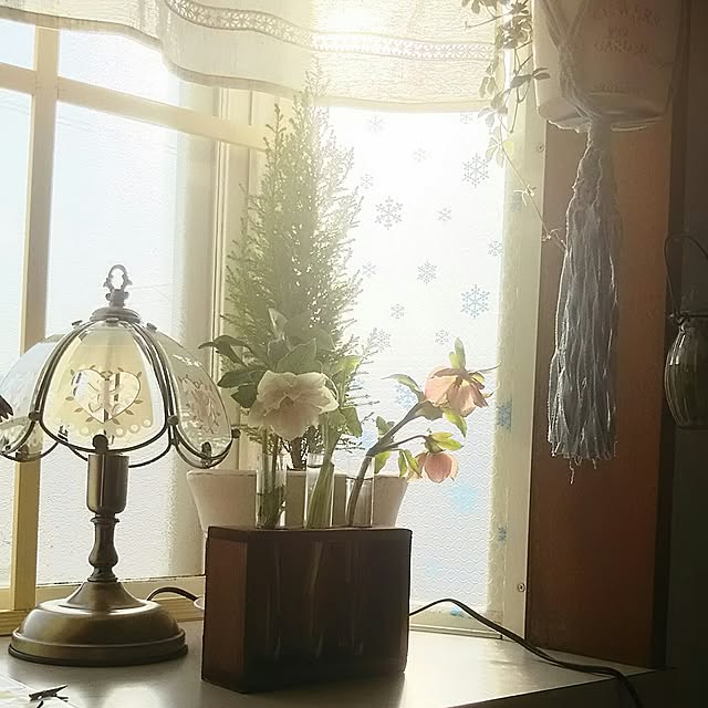 naopyiさんの実例写真