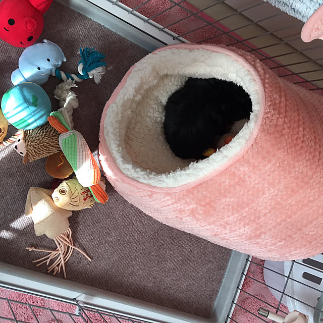marikoさんの部屋
