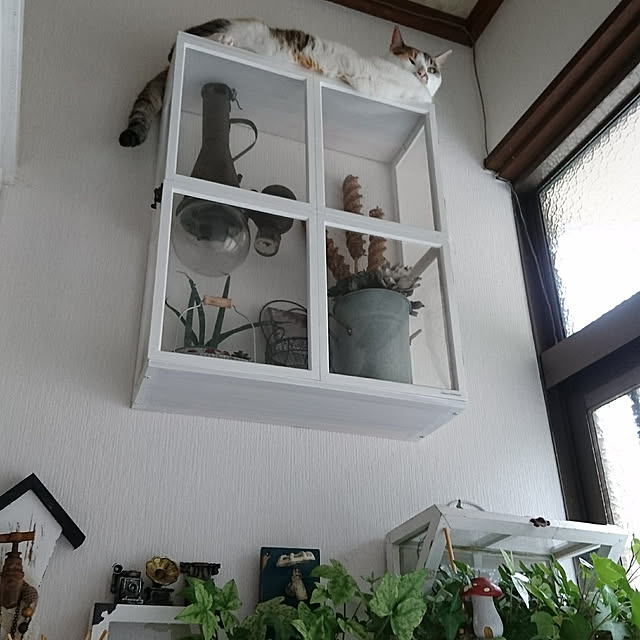 taleo07さんの実例写真