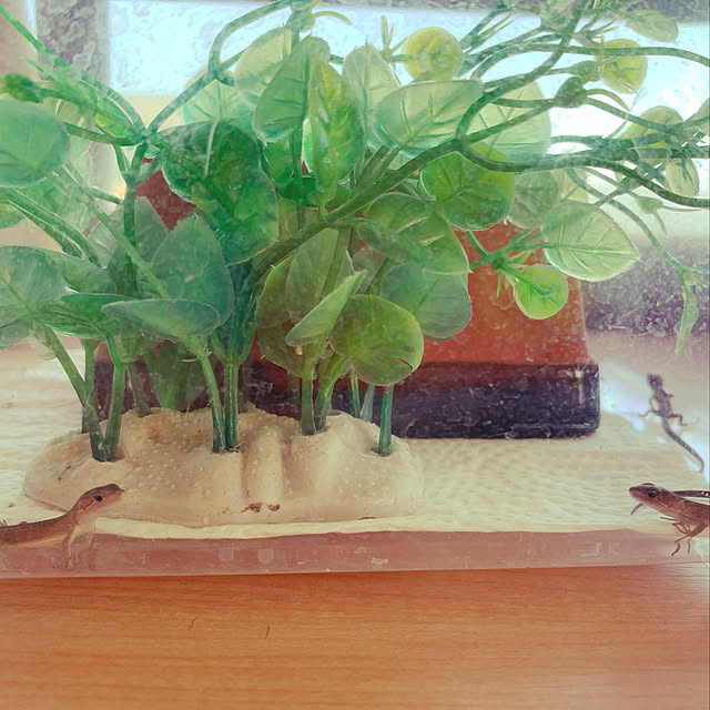 hさんの実例写真